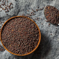 Mustard Seeds Khamani Rai