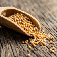 Yellow Mustard Seeds
