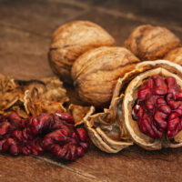 Chilean  Red Danube Walnuts | Red Skin Walnuts | Akhrot Giri | Dry Fruit