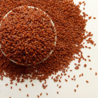 Halim Seeds | Garden Cress Seeds | Aliv Seeds